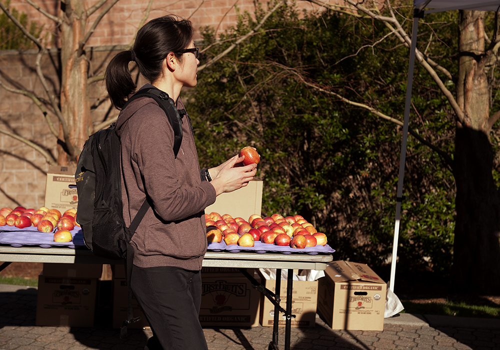 farmers market