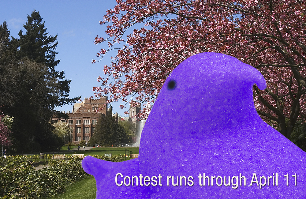 UW Peep