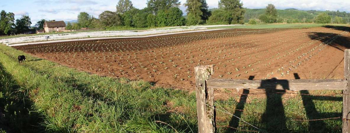 UW farm to fork