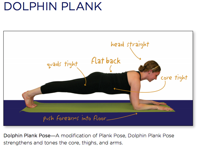 Dolphin Pose | Workout Trends