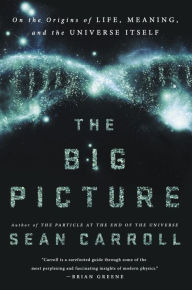 Sean Carroll-The Big Picture