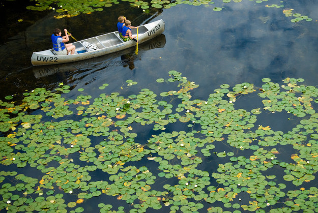 Great-WAC-canoeing-pic