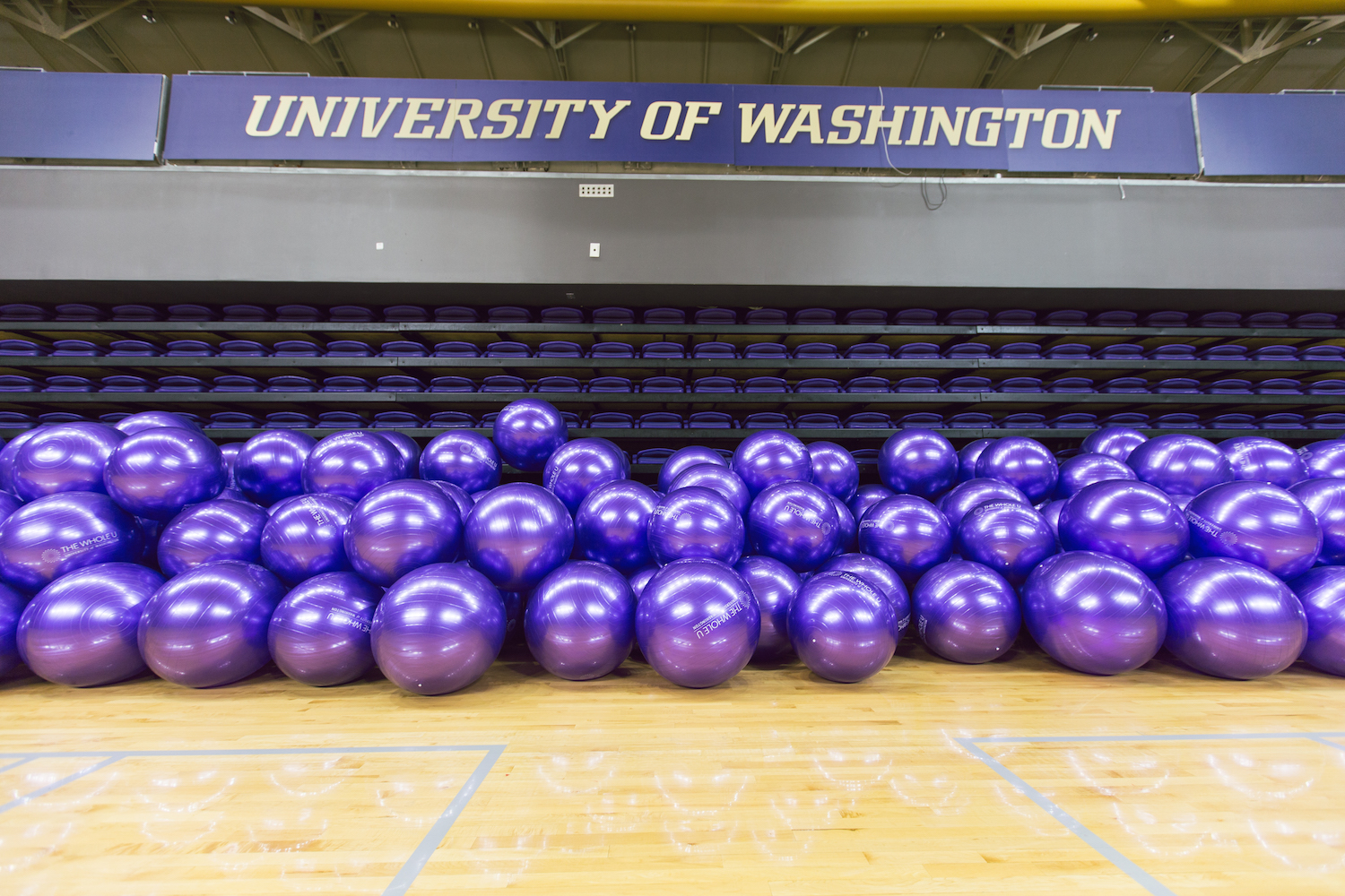 The World’s Biggest Exercise Ball Class The Whole U