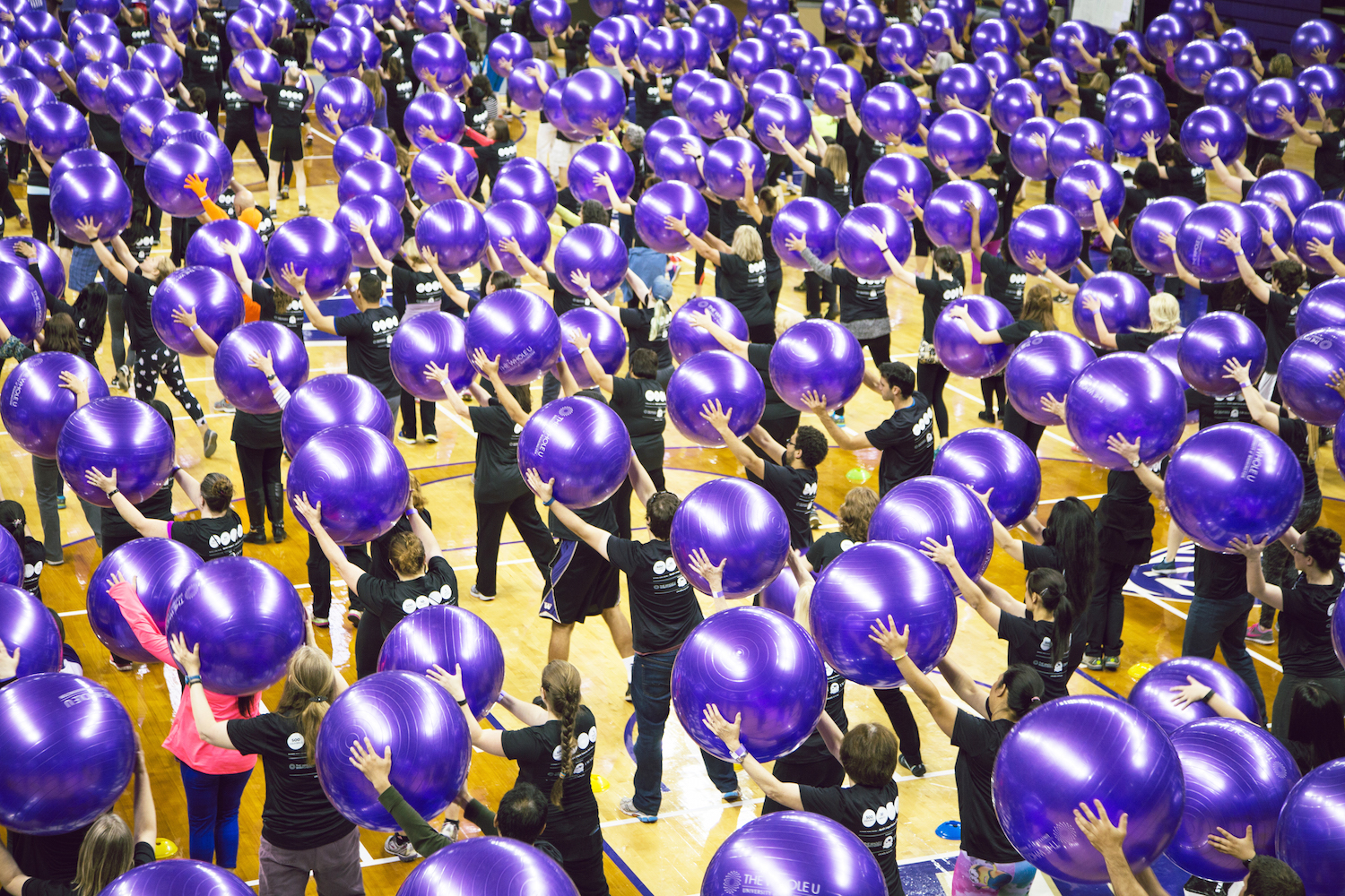 The World s Biggest Exercise Ball Class The Whole U