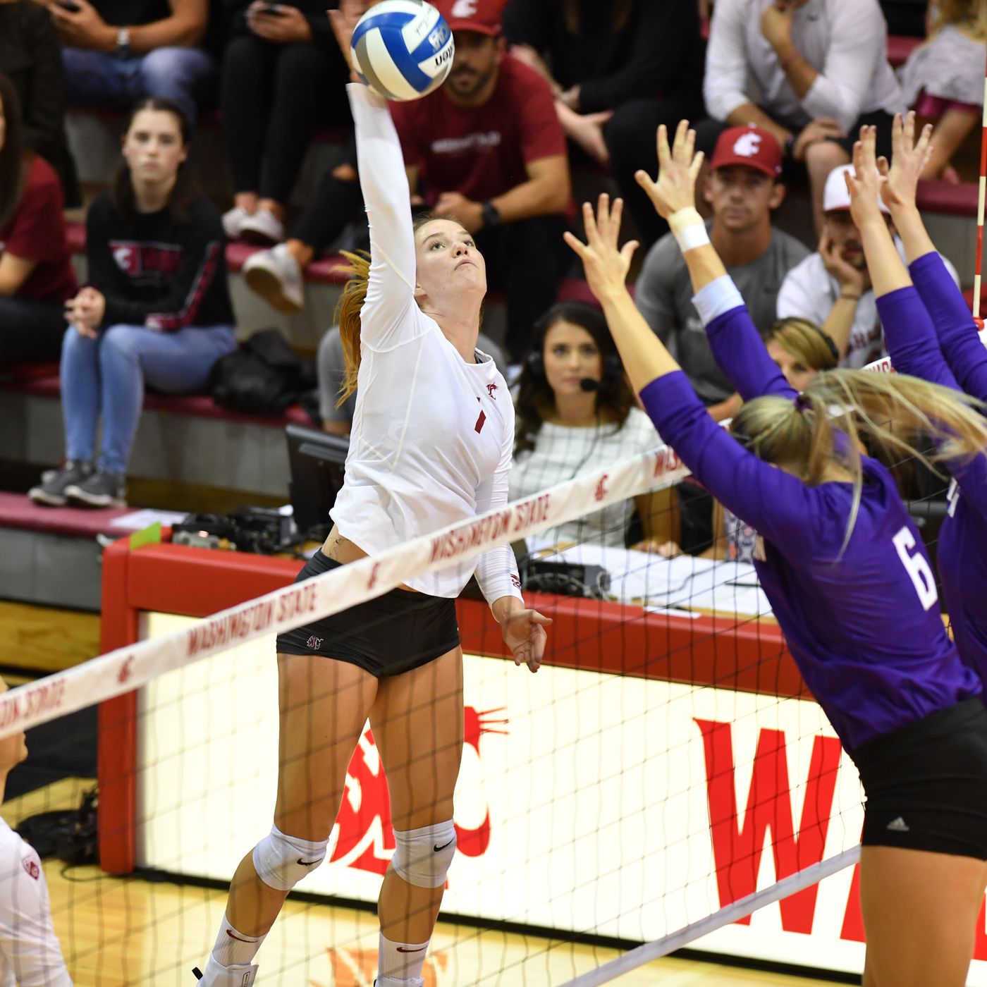 UW Athletics & Seattle Mariners Discounts The Whole U