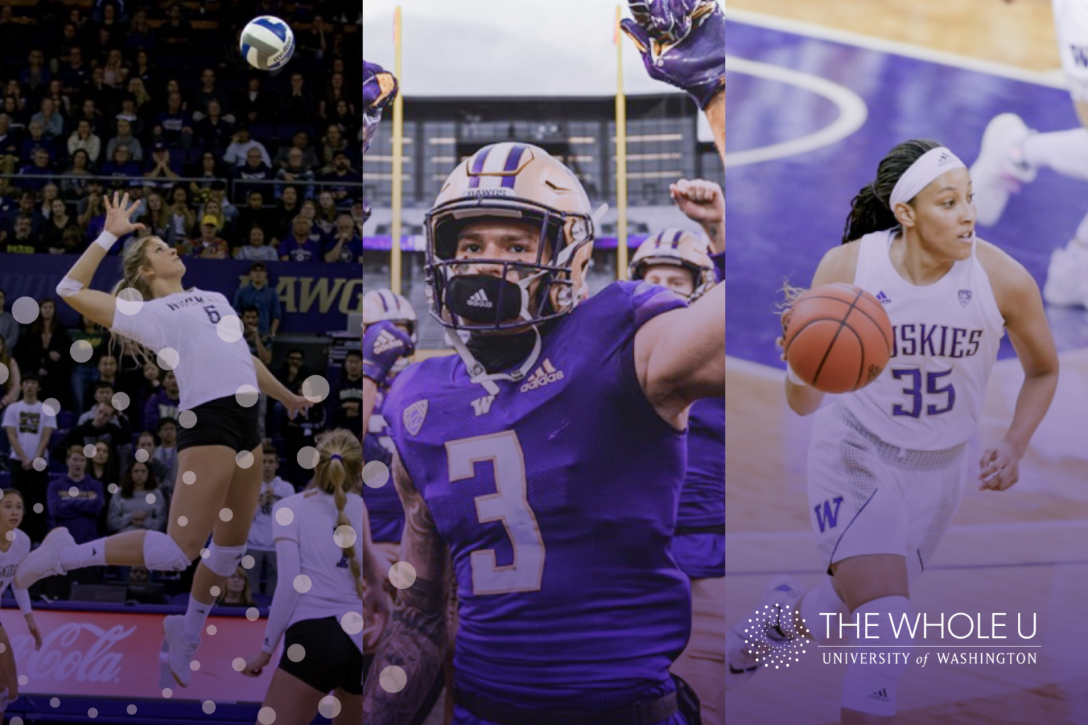 Complimentary UW Athletics tickets this November! The Whole U